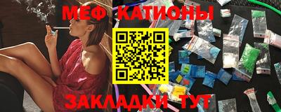 индика Гусев