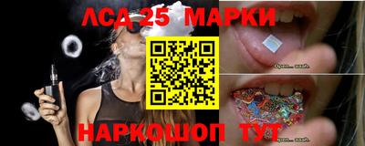 индика Гусев