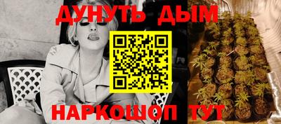 индика Гусев