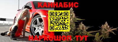 индика Гусев