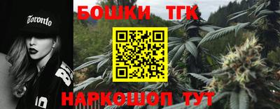 индика Гусев