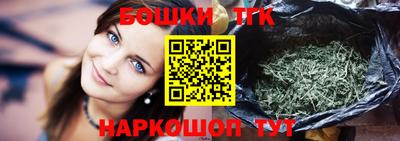 индика Гусев