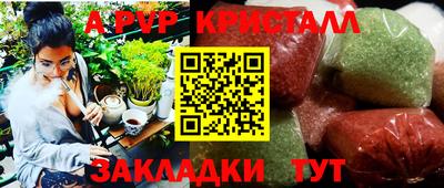 индика Гусев