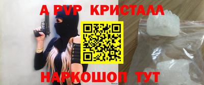 индика Гусев