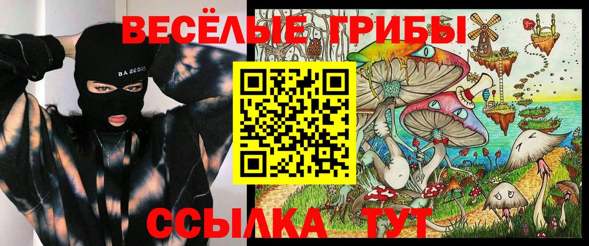 Псилоцибиновые грибы MAGIC MUSHROOMS  Вход с VPN  Менделеевск 